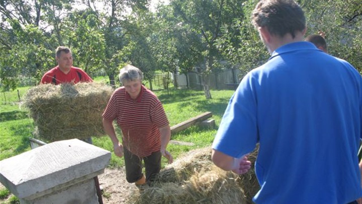 utovar sijena 015.jpg