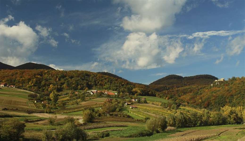 3. Branko Bručić, Budinščina final.jpg