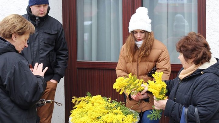 Dan mimoza u Zlataru 25.1.2015. 14-47-55.jpeg