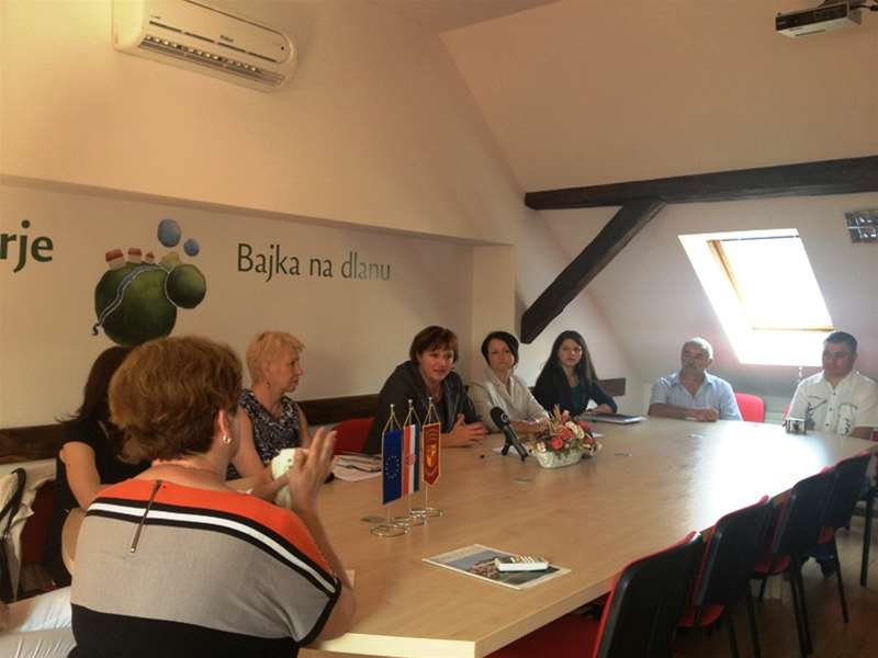 Predstavljanje projekta11.JPG