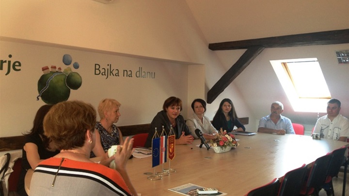 Predstavljanje projekta11.JPG