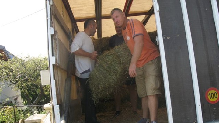 utovar sijena 014.jpg