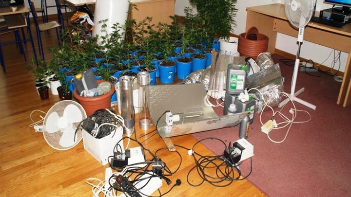 trava laborotorij.jpg