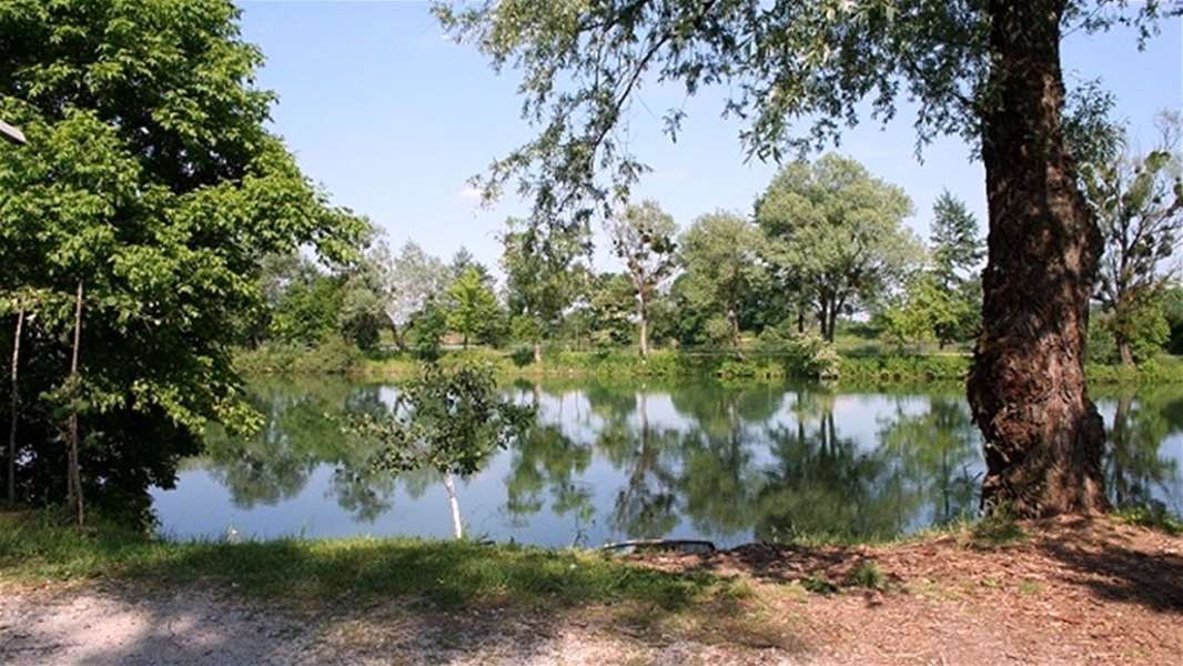 jezero bedekovčina.jpg