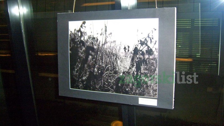 zagorje_otvorenje izložbe branko rod_13052011_01.jpg