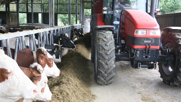 Posluživanje doručka:  talijanski ljulj, kukuruzna silaža, sijeno, kukuruzna pšenica, soja, suncokret i repica