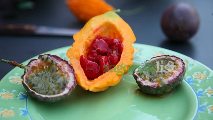 zagorje_exotik king1_10082012_18.jpg