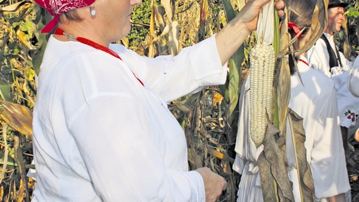 trgatva IMG_2804.jpg