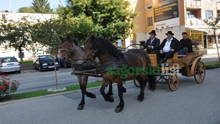 zagorje_konjske_zaprege_07092012_02.jpg