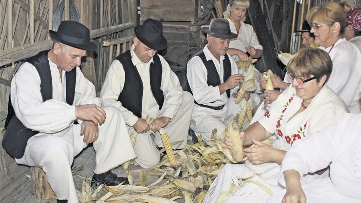 trgatva IMG_2836.jpg