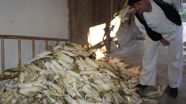 trgatva IMG_2815.jpg