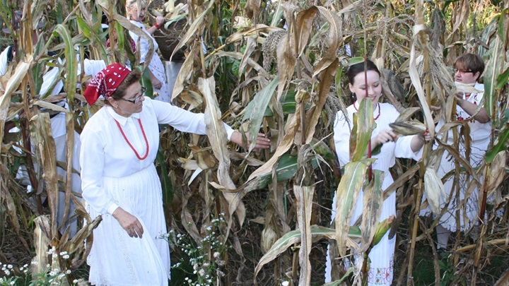 trgatva IMG_2810.jpg