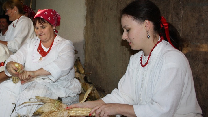 trgatva IMG_2838.jpg