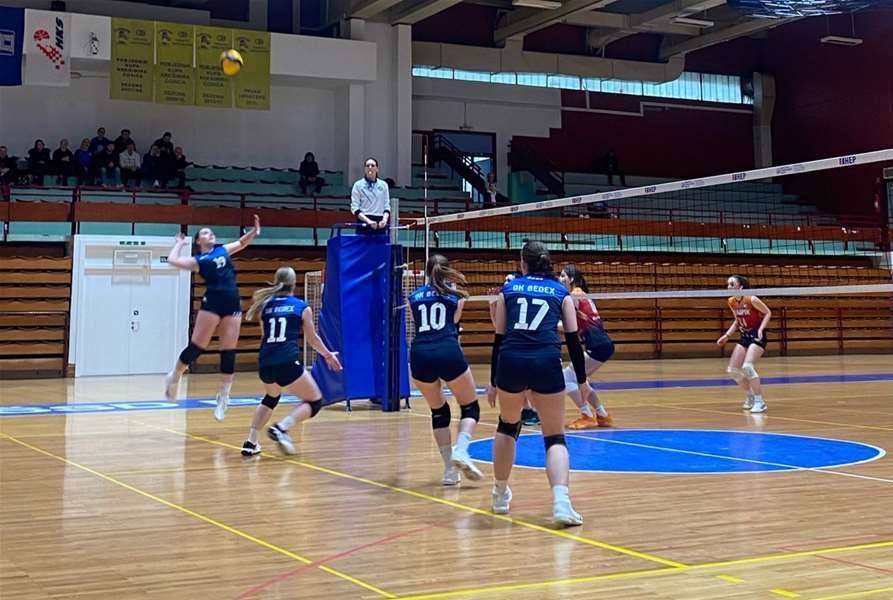 2. HOL Bedex 3003 2.jpeg