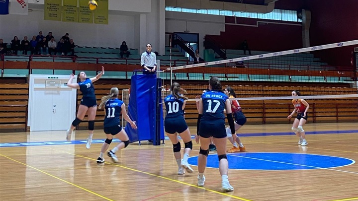 2. HOL Bedex 3003 2.jpeg