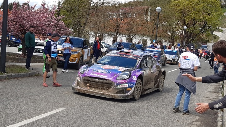 wrc 2022 14.jpg