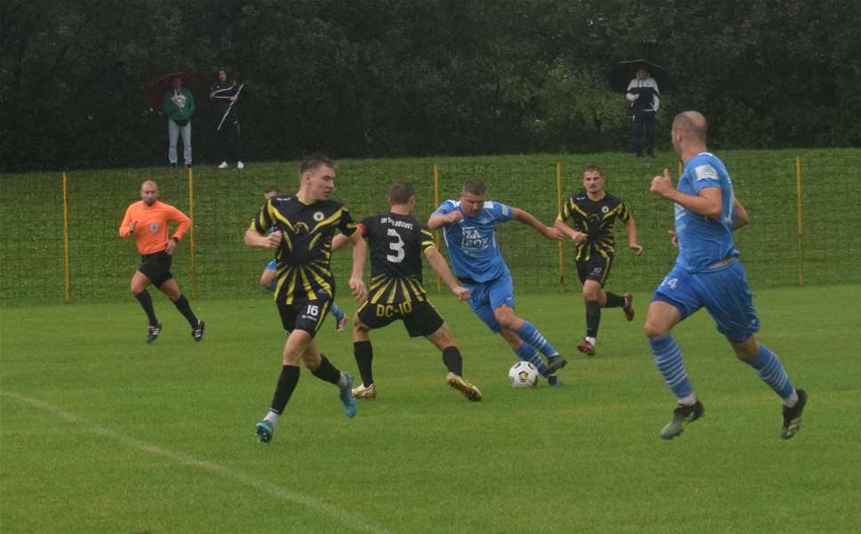 golubovec mladost z 08.JPG