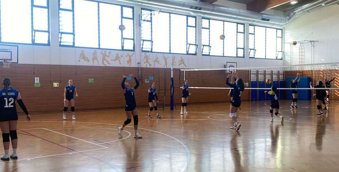 2. HOL Bedex a.jpg