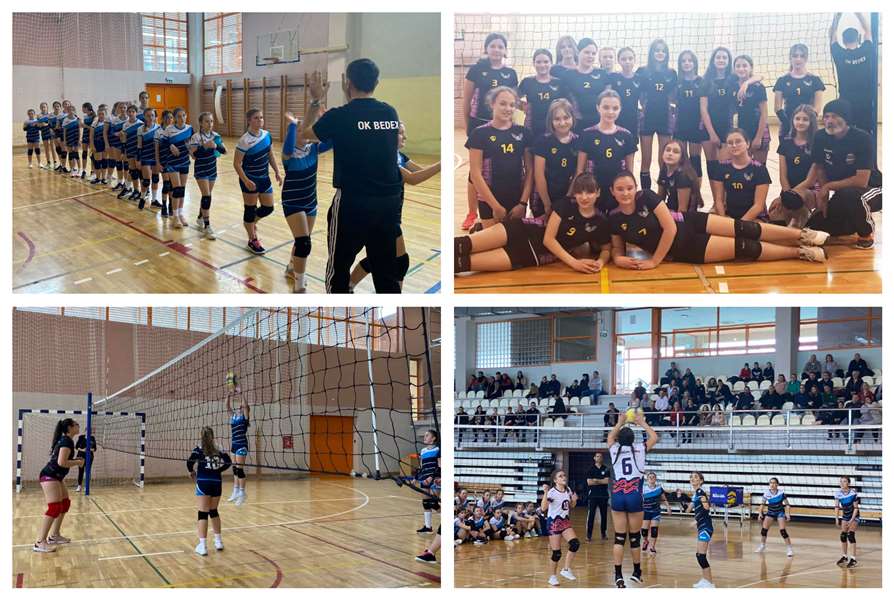 bedex mala naslovna .jpg