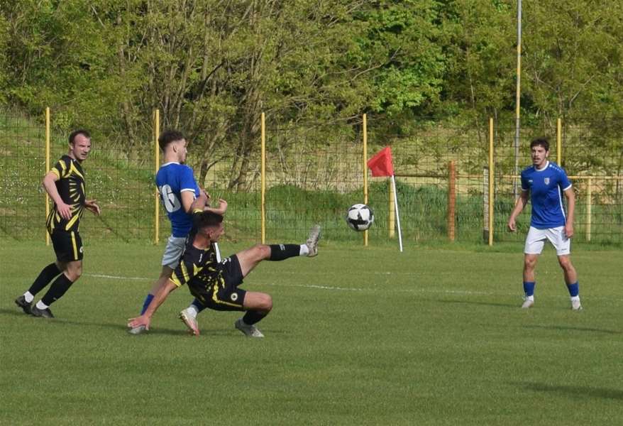 golubovec ravnice 01.JPG