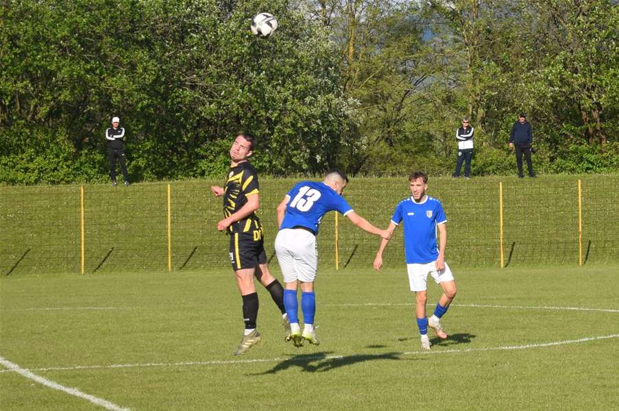 golubovec ravnice 10.JPG