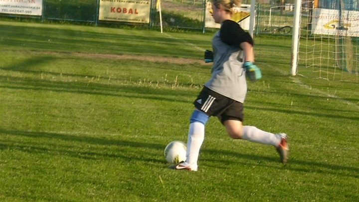 stell gorički 1.jpg