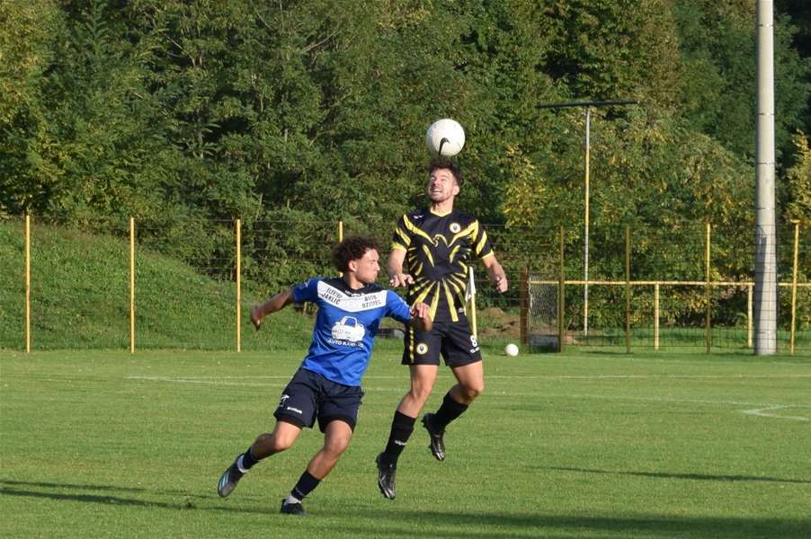 golubovec prečko 11.JPG