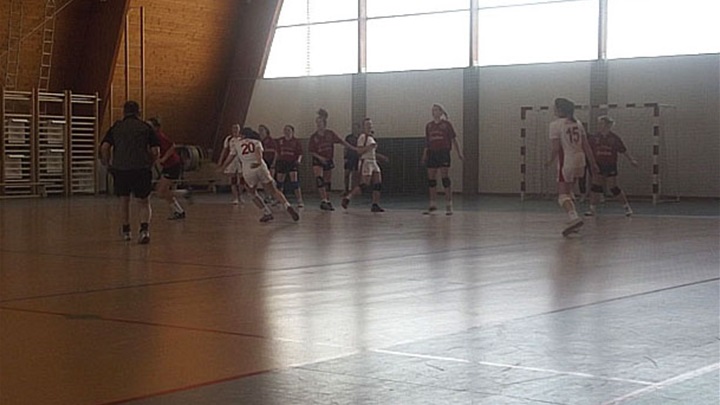 zagorje_rukomet_sport_rukometašice_zlatar_bistrica_17032012 (1).JPG