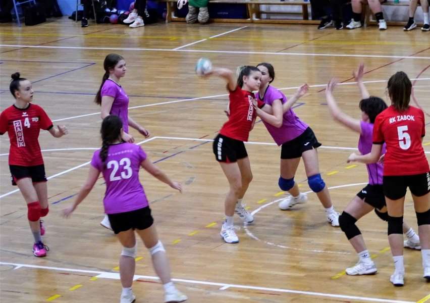 image_6487327 (1).JPG