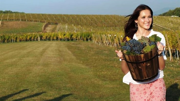 zagorjeu srcu berba.jpg