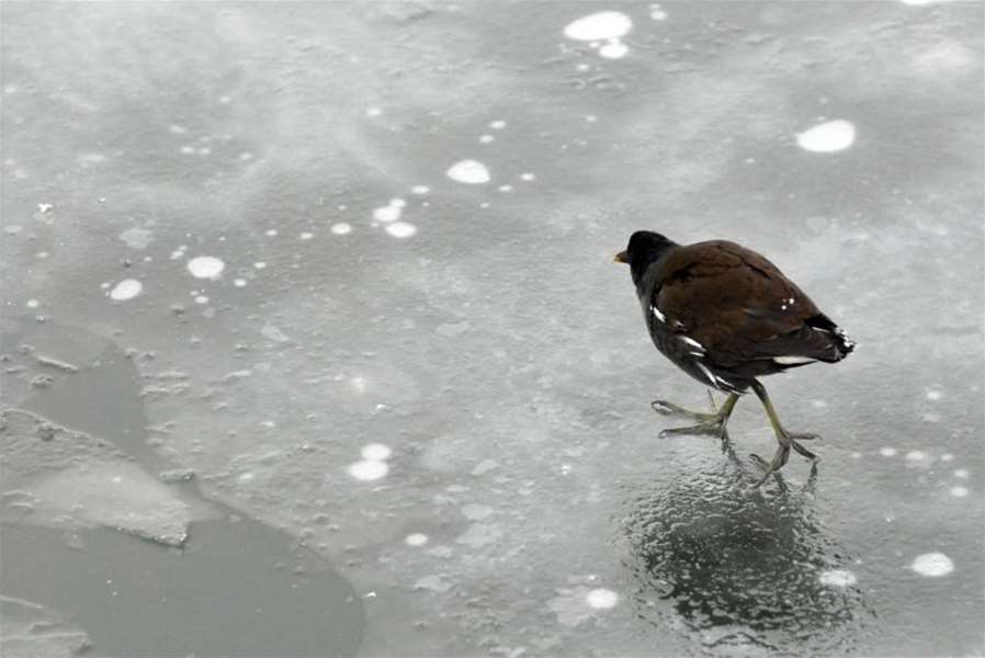 zima_niska temparatura.jpg