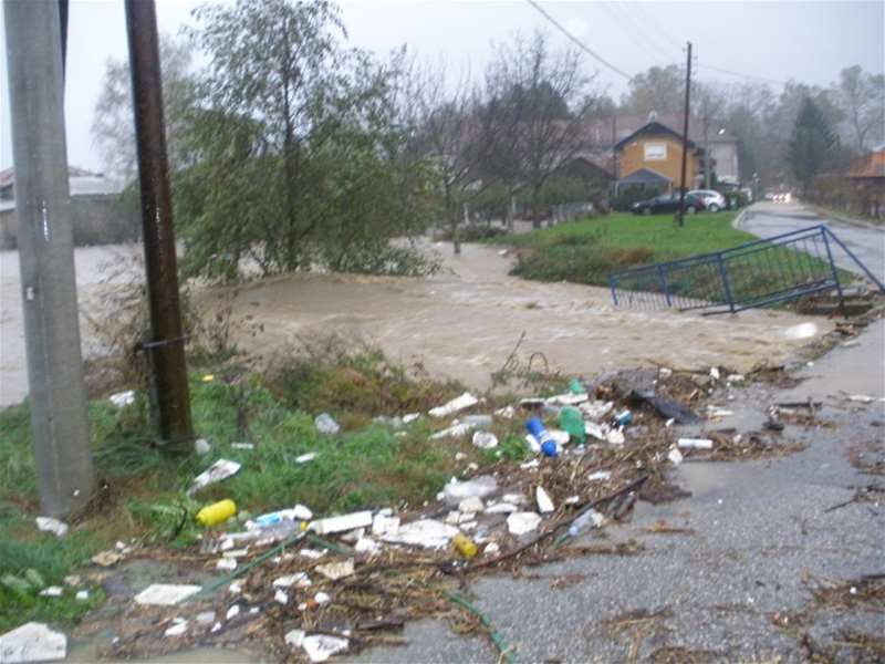 stanje u zlataru je alarmantnoJPG.JPG