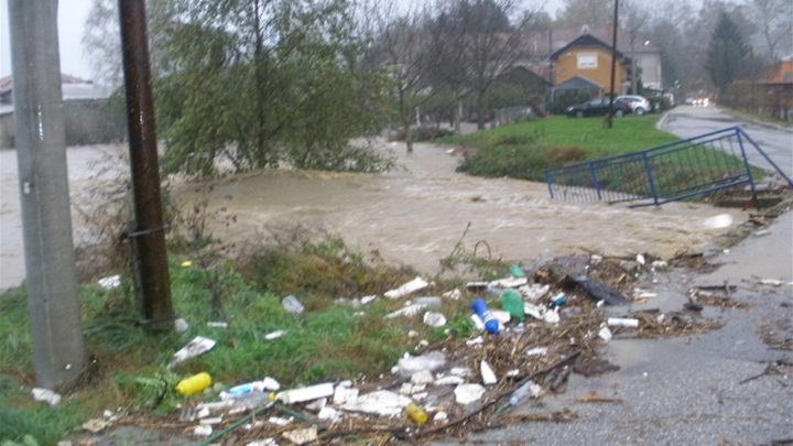 stanje u zlataru je alarmantnoJPG.JPG