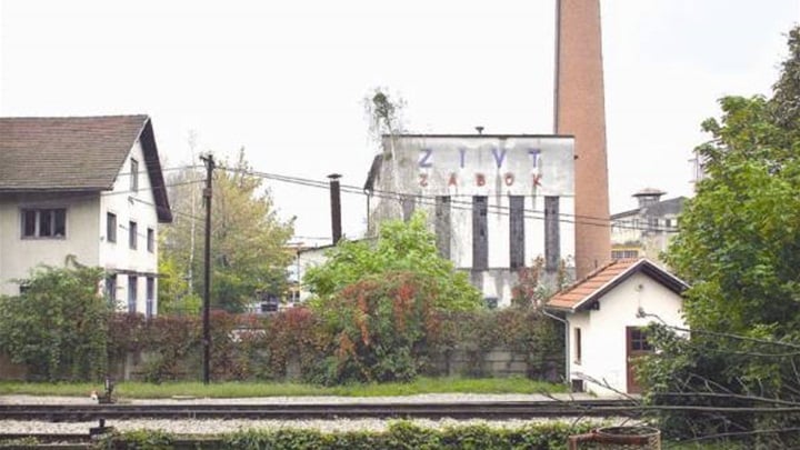 p_862596mali zivt.jpg