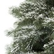 Otkrijte prekrasna umjetna božićna drvca i druge ukrase koji će vam pružiti prekrasan božićni ugođaj
